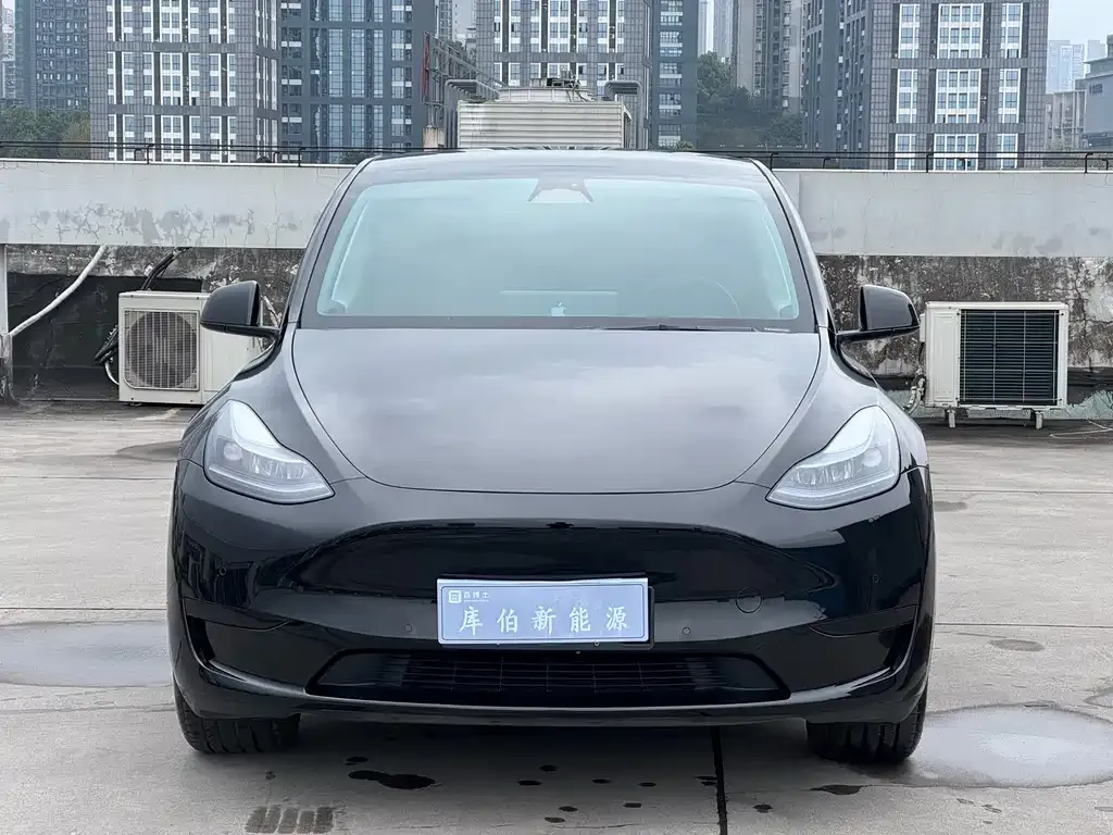 Tesla Model Y — фото 6