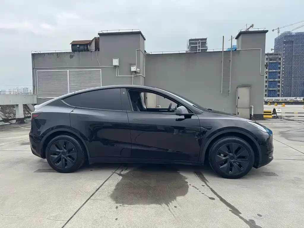 Tesla Model Y — фото 5