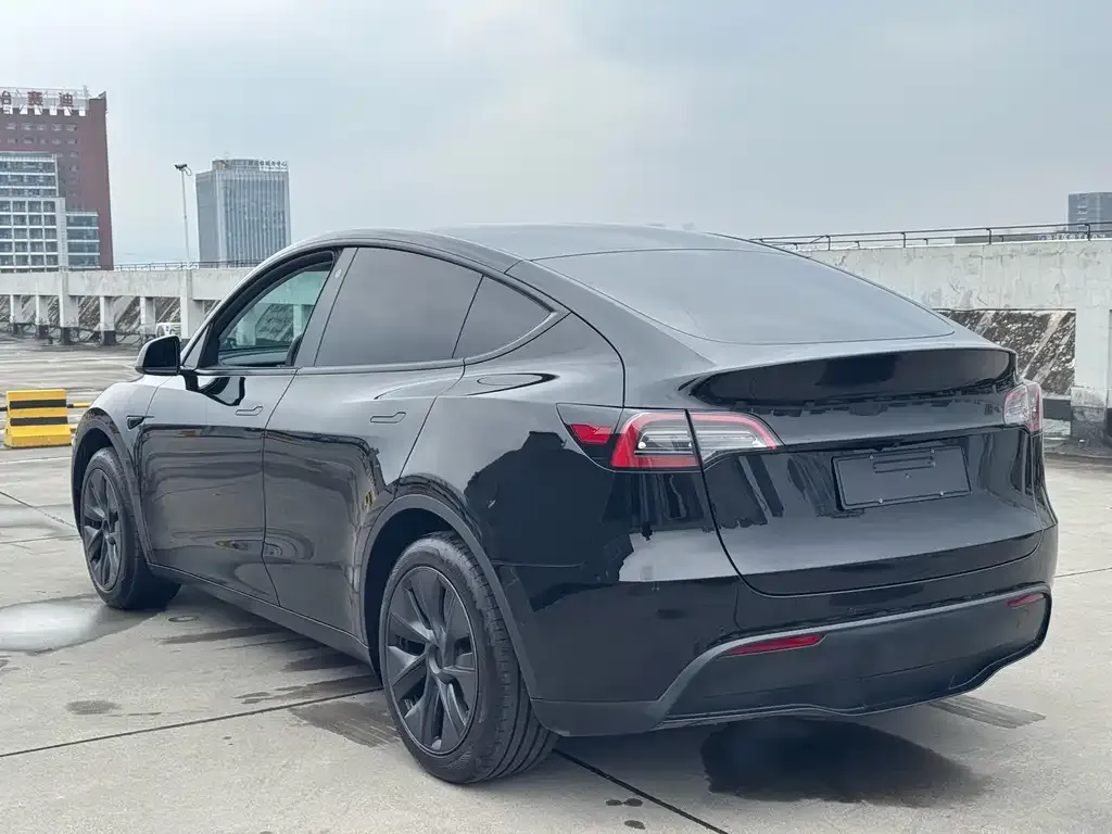Tesla Model Y — фото 10