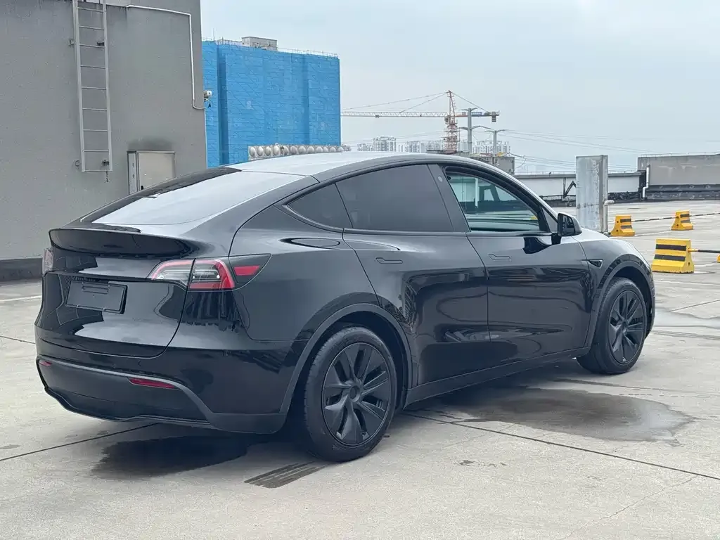 Tesla Model Y — фото 2