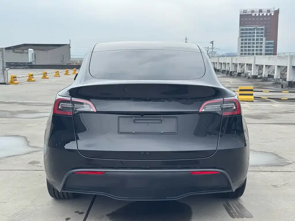 Tesla Model Y — фото 9