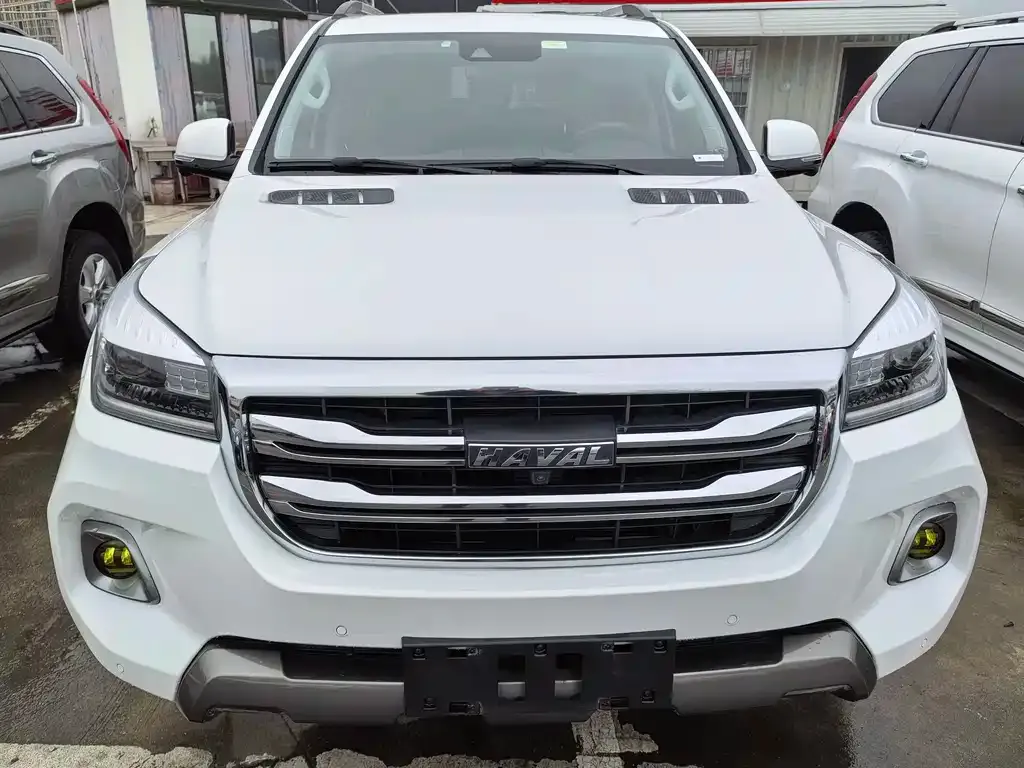 Haval H9