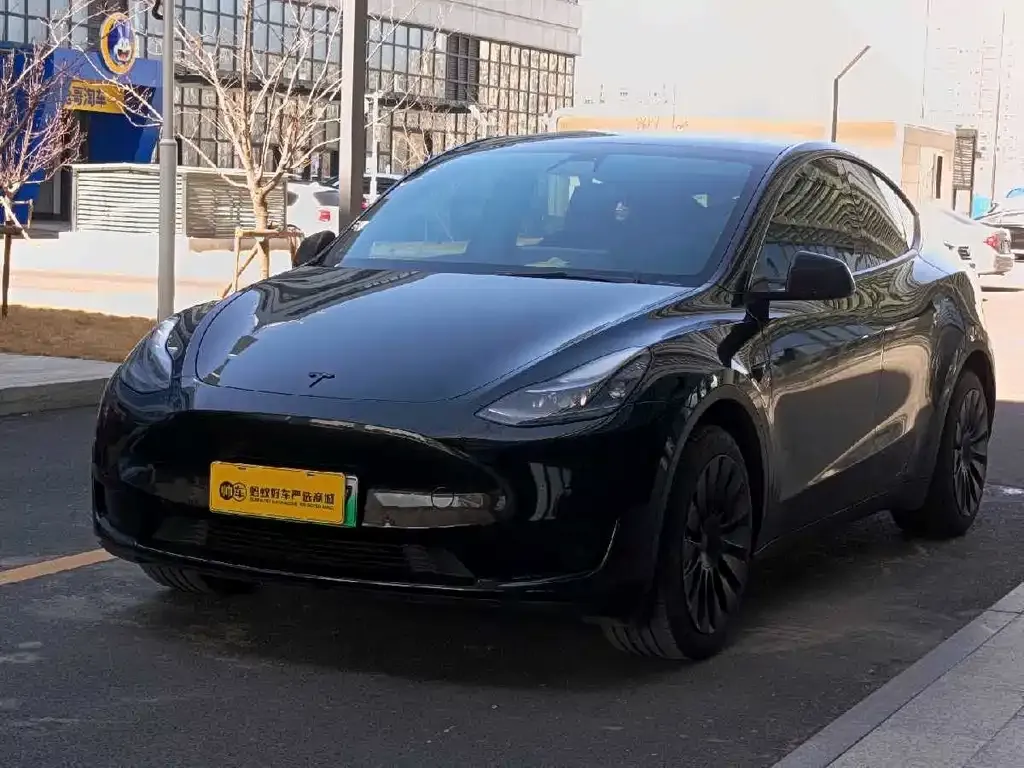 Tesla Model Y 2022 из CN, фото 1