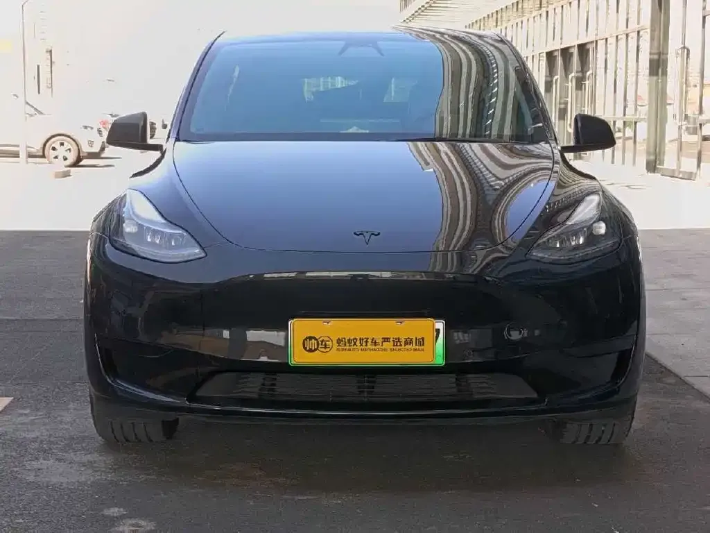 Tesla Model Y 2022 из CN, фото 9