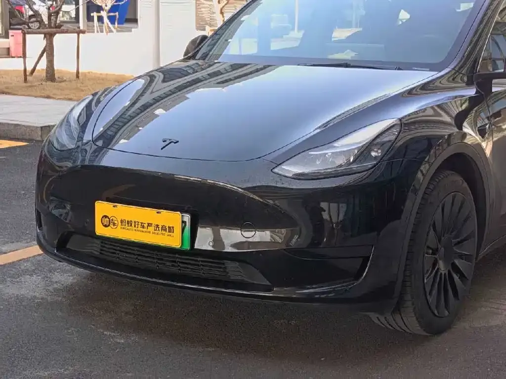 Tesla Model Y 2022 из CN, фото 10