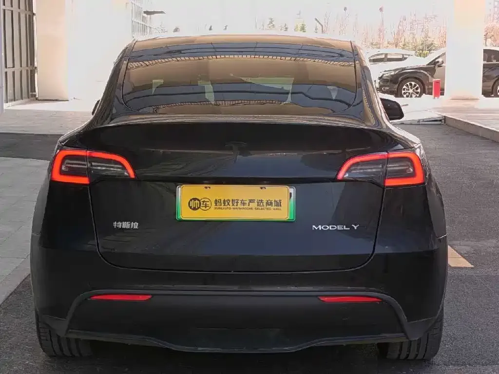 Tesla Model Y 2022 из CN, фото 4