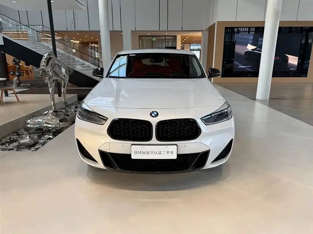 BMW X2 2024 из CN, фото 4