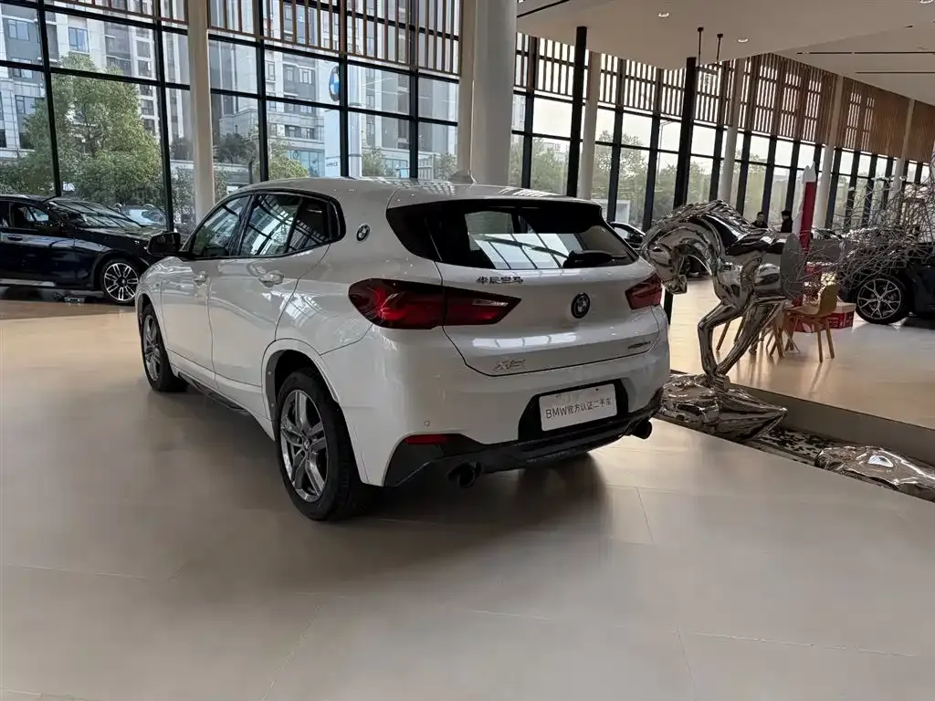BMW X2 2024 из CN, фото 6
