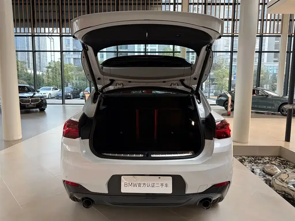 BMW X2 2024 из CN, фото 10