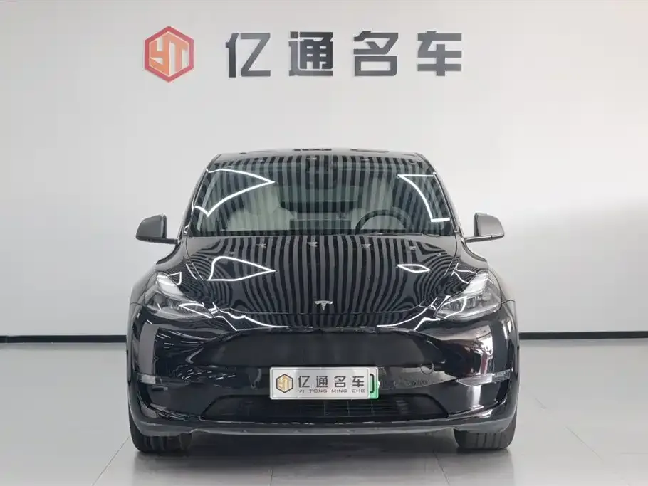 Tesla Model Y — фото 2