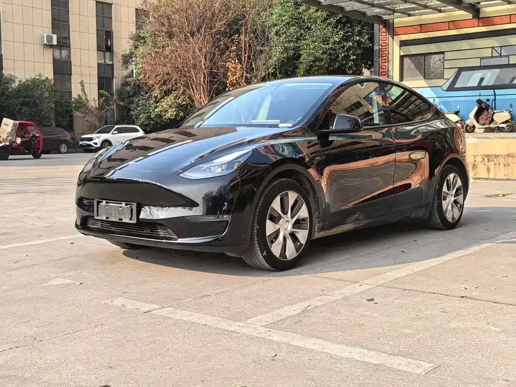 Tesla Model Y — фото 1