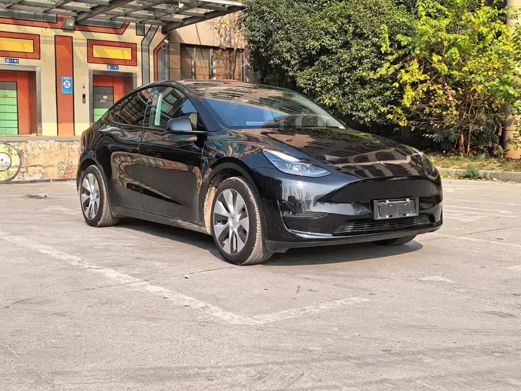 Tesla Model Y — фото 9
