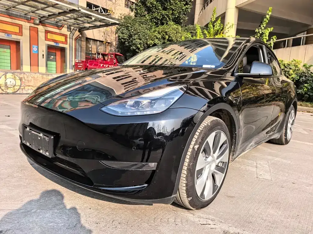 Tesla Model Y — фото 6