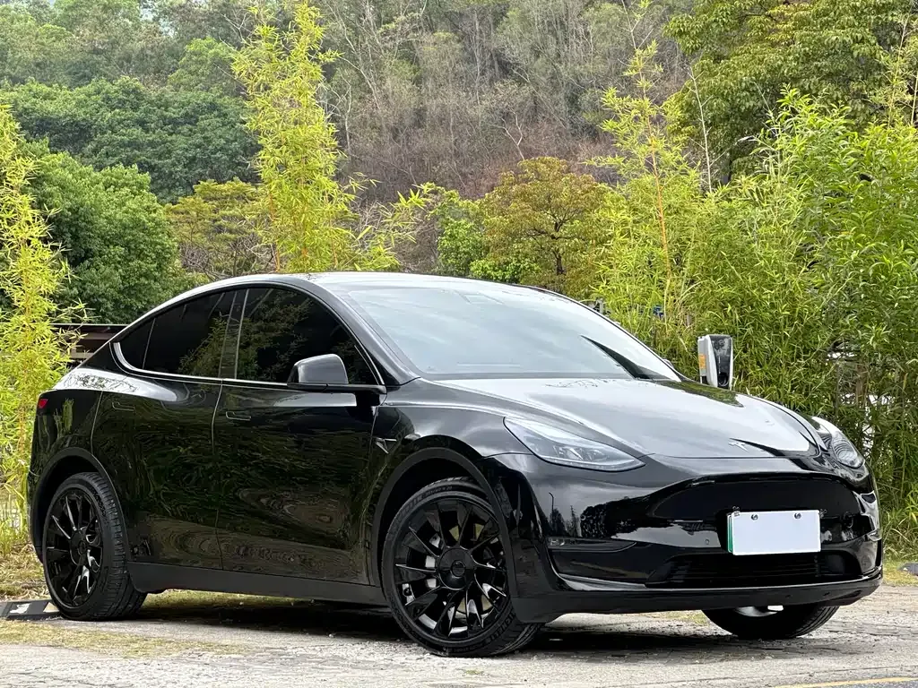 Tesla Model Y — фото 10
