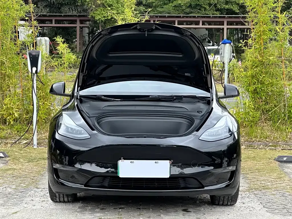 Tesla Model Y — фото 8