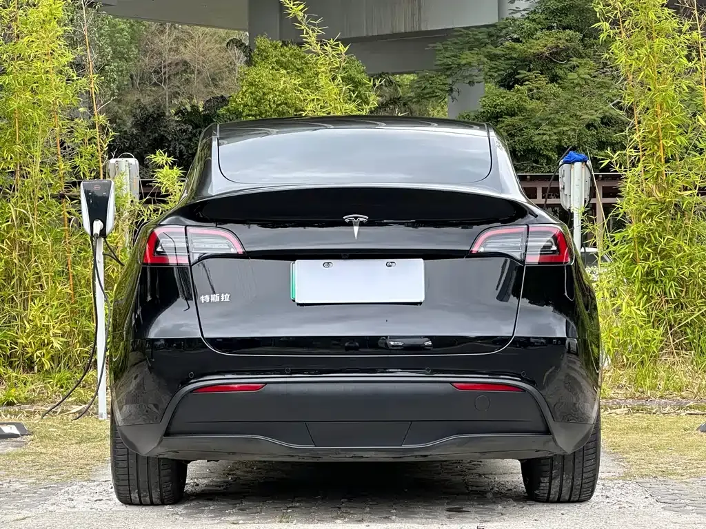 Tesla Model Y — фото 4