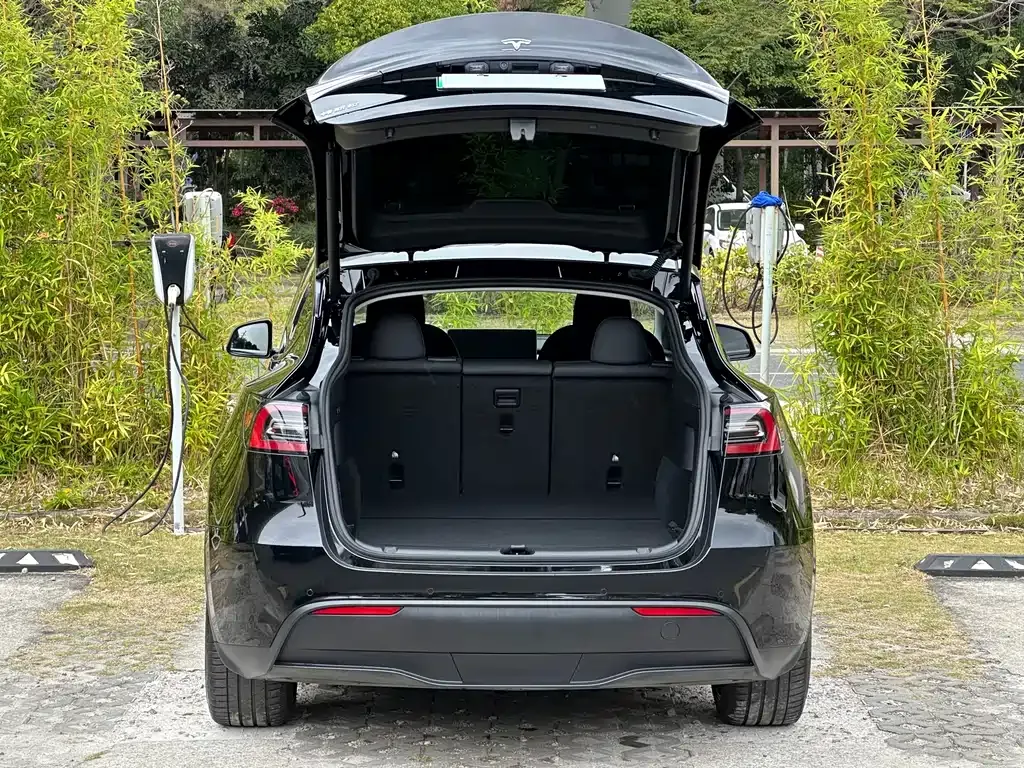 Tesla Model Y — фото 5