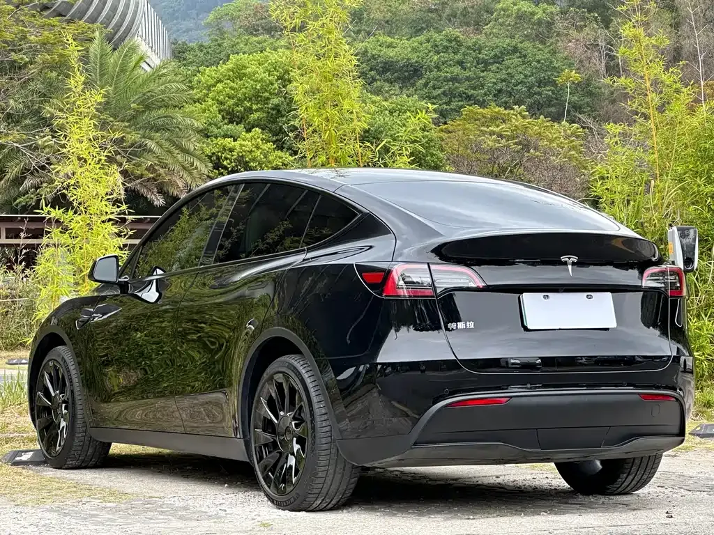 Tesla Model Y — фото 7