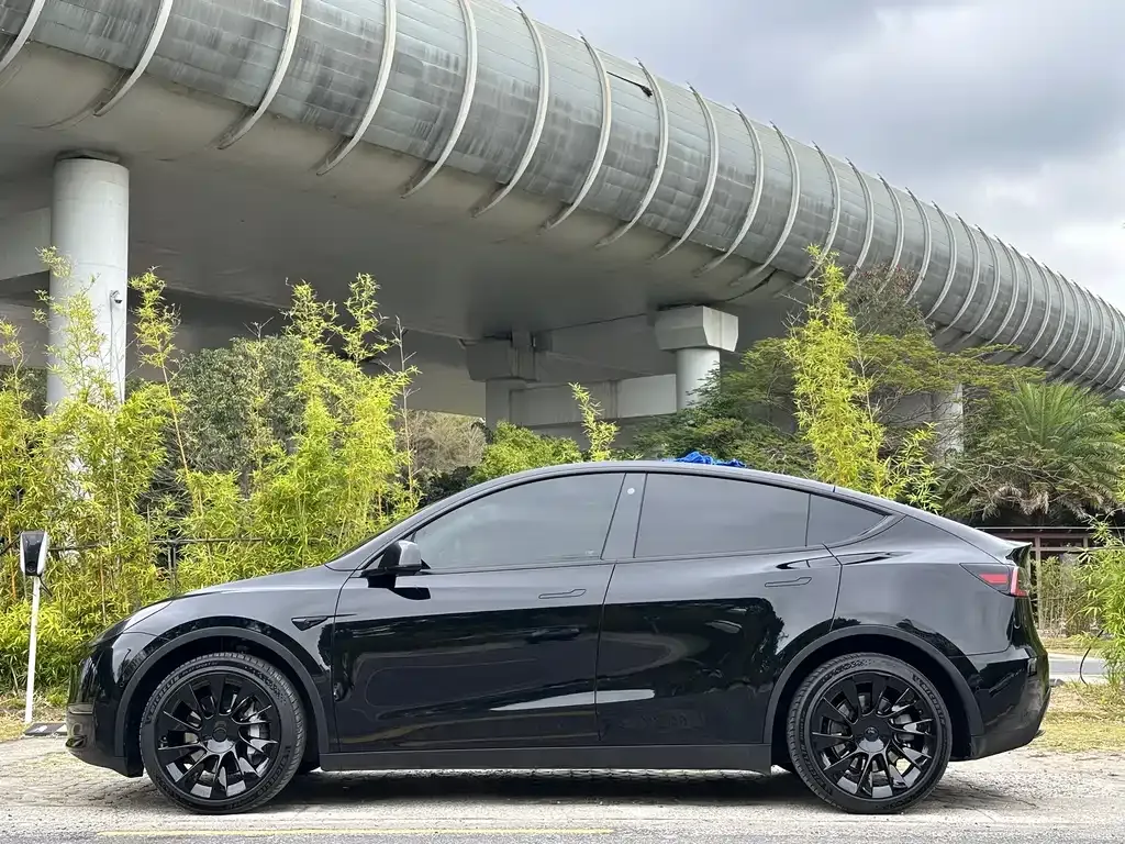 Tesla Model Y — фото 6