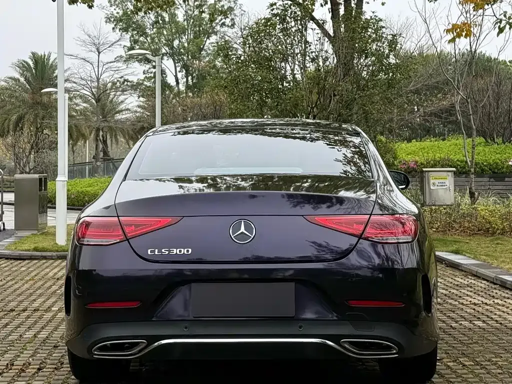 Mercedes-Benz CLS — фото 8