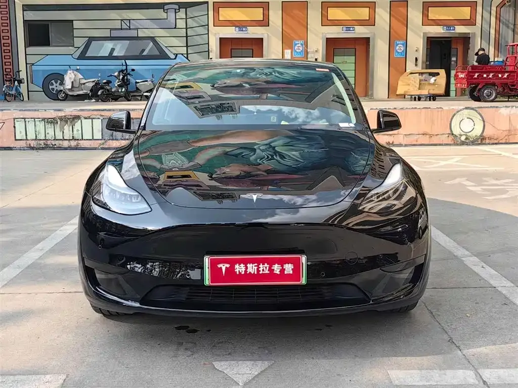 Tesla Model Y — фото 10