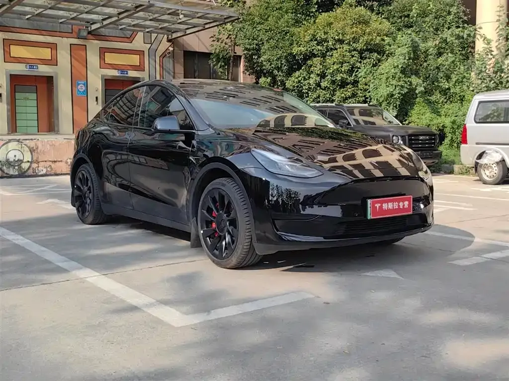 Tesla Model Y — фото 9
