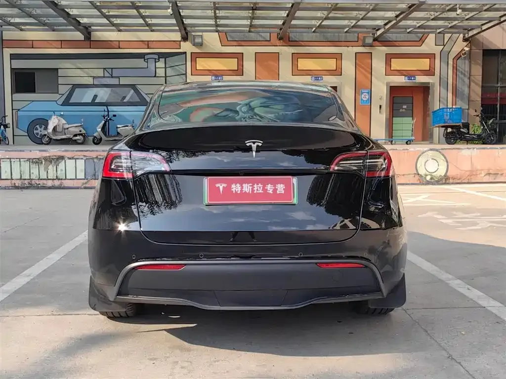 Tesla Model Y — фото 8