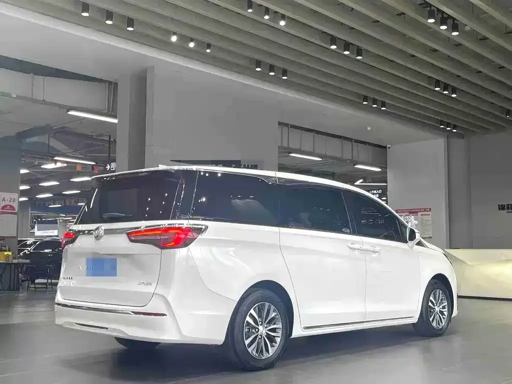 Buick GL8 2023 из CN, фото 7
