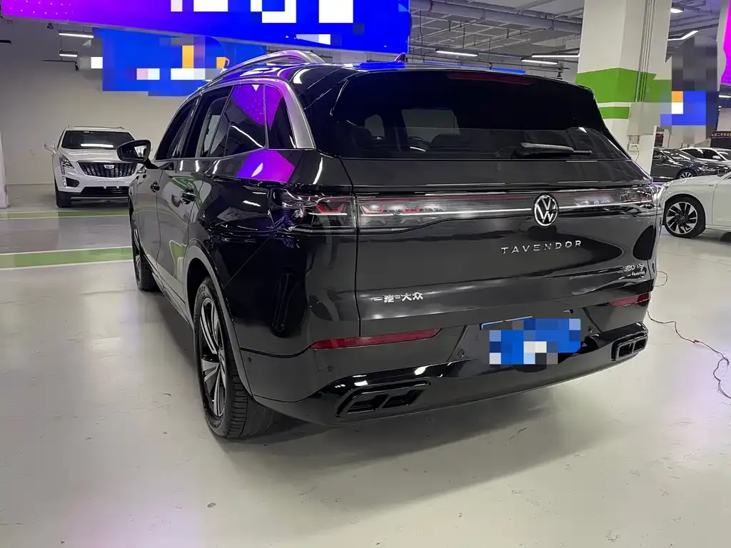 Volkswagen Tavendor 2024 из CN, фото 4