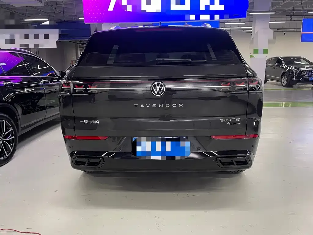 Volkswagen Tavendor 2024 из CN, фото 5