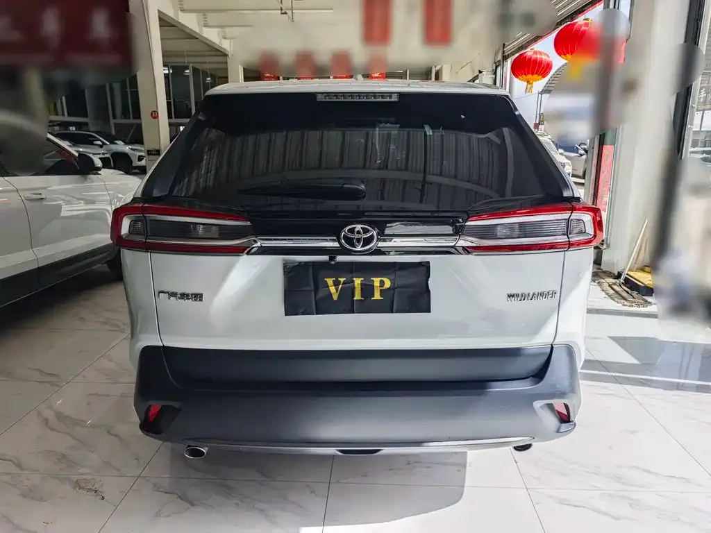 Toyota Wildlander 2023 из CN, фото 10