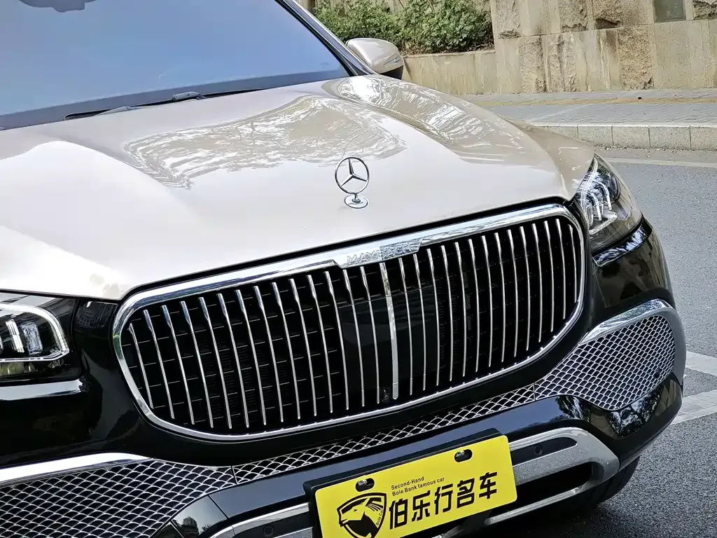 Mercedes-Benz GLS 2021 из CN, фото 9