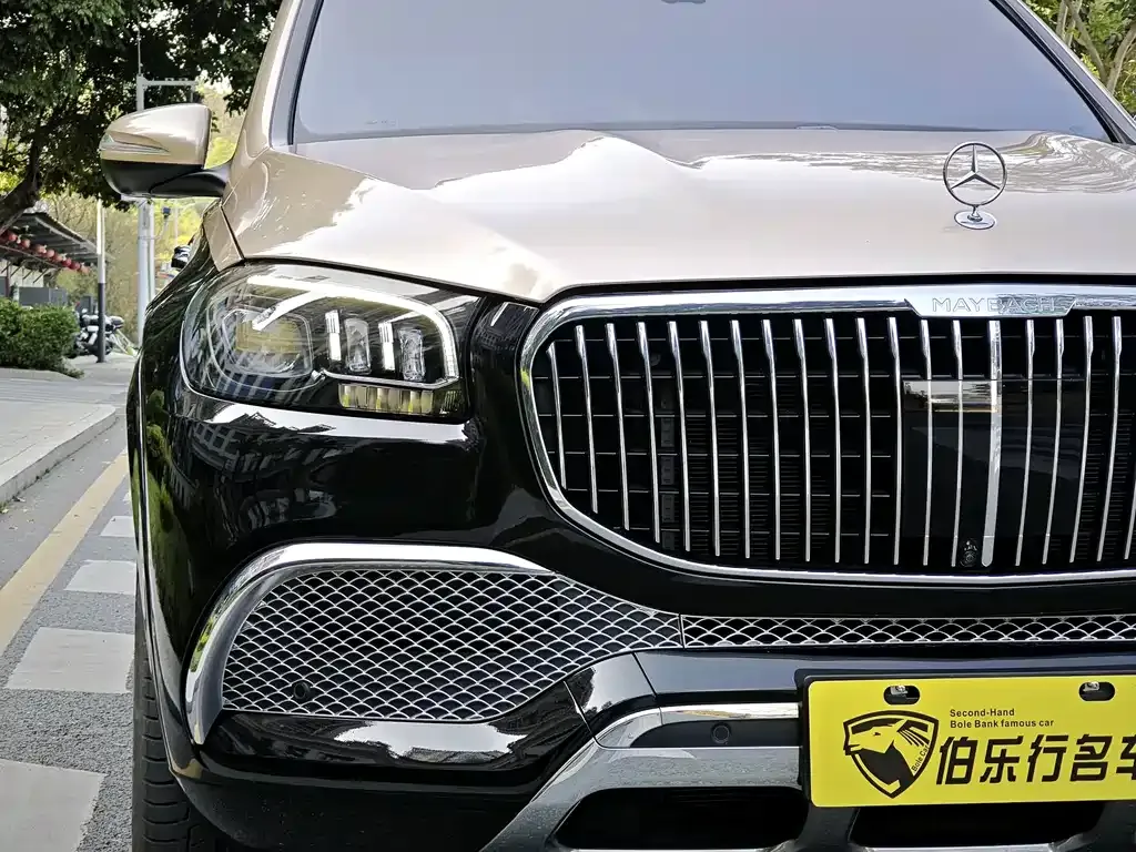 Mercedes-Benz GLS 2021 из CN, фото 5