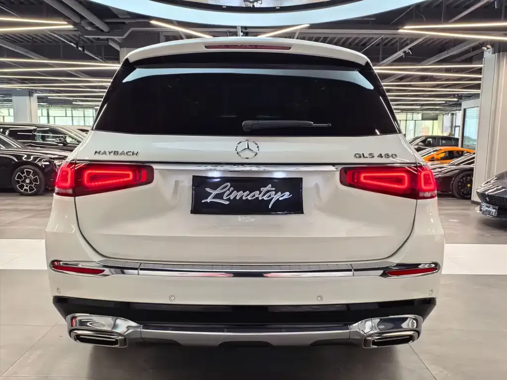 Mercedes-Benz GLS — фото 10