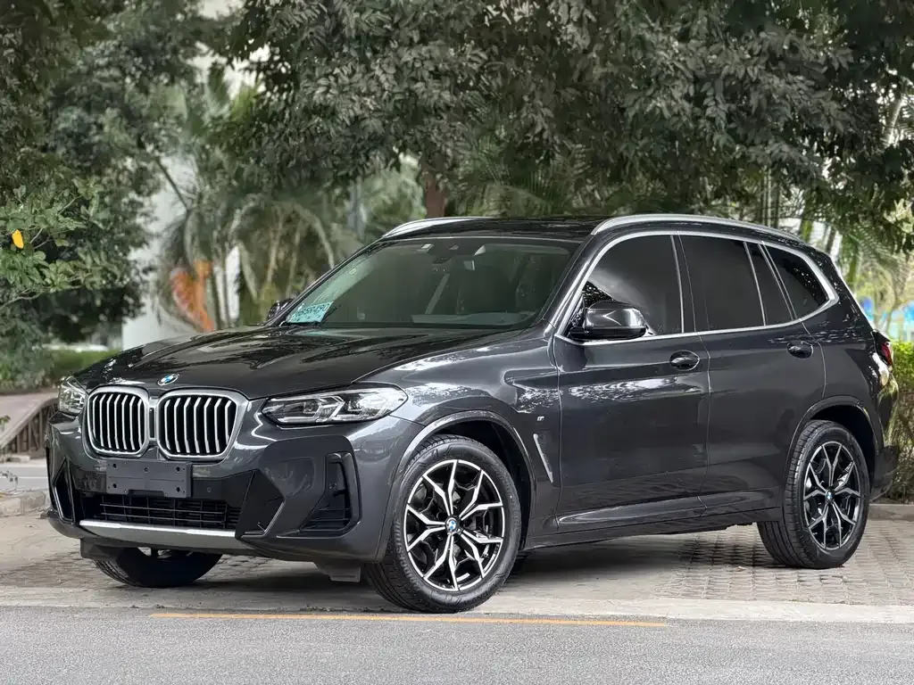BMW X3 — фото 1