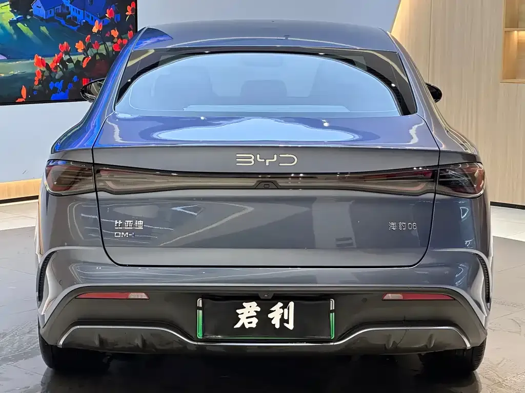 BYD Seal 06 2024 из CN, фото 4