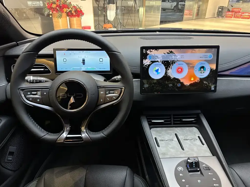 BYD Seal 06 2024 из CN, фото 3