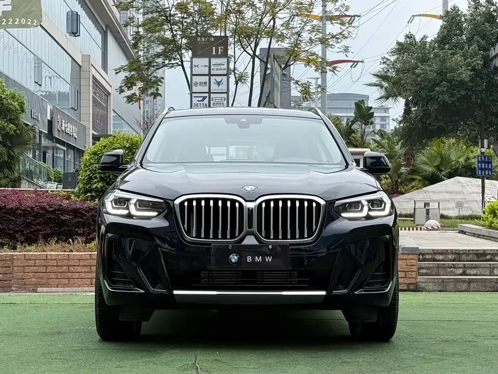 BMW X3 2024 из CN, фото 6