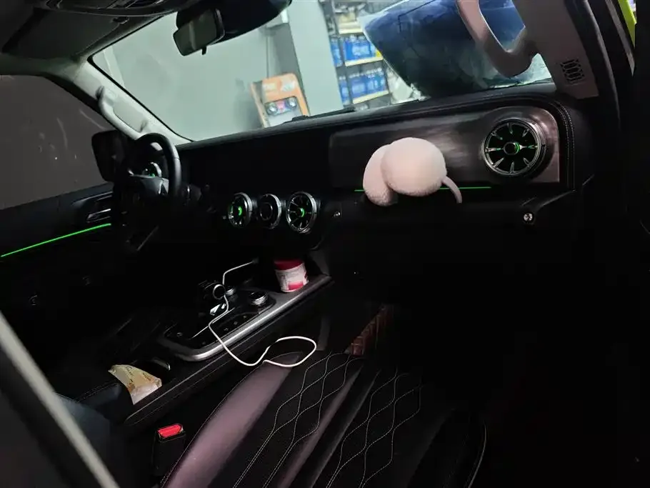 Tank 300 2024 из CN, фото 4