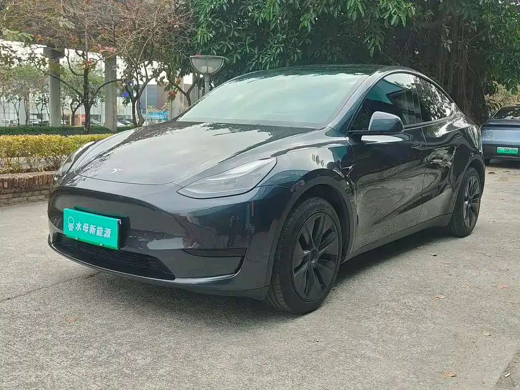 Tesla Model Y — фото 1