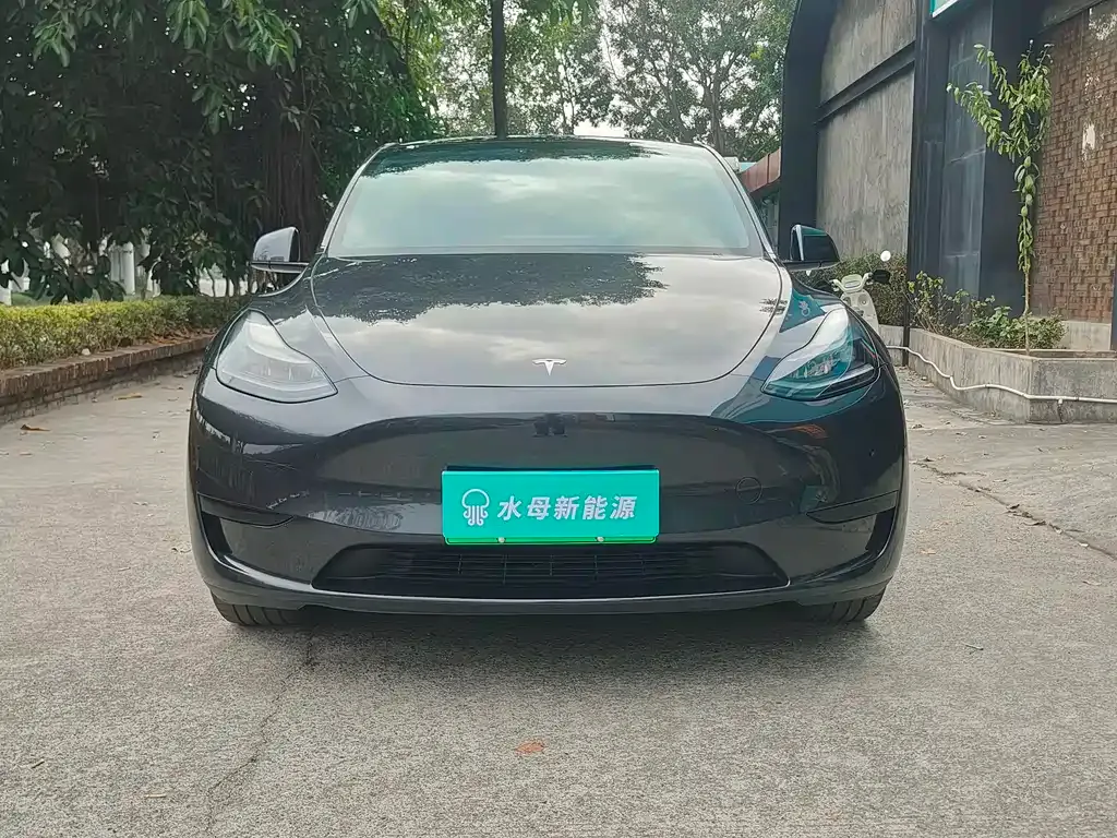Tesla Model Y — фото 7