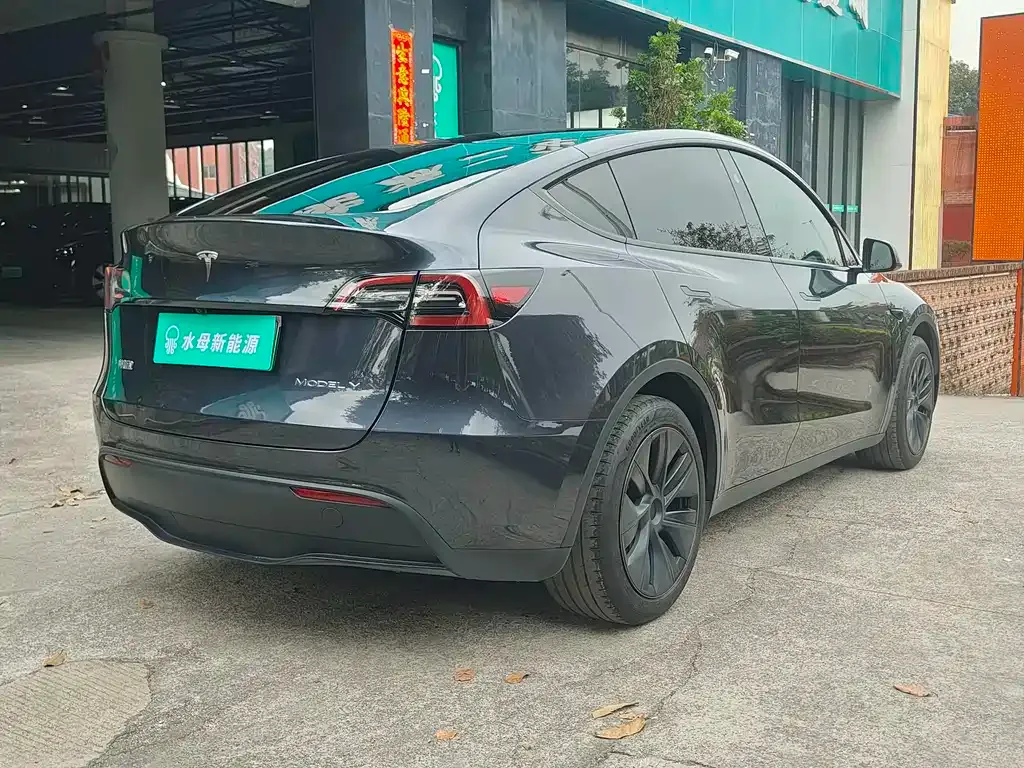 Tesla Model Y — фото 6