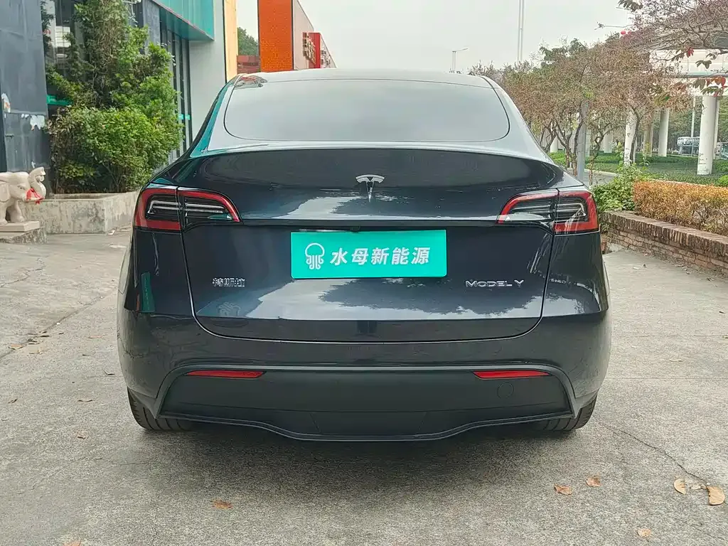 Tesla Model Y — фото 10