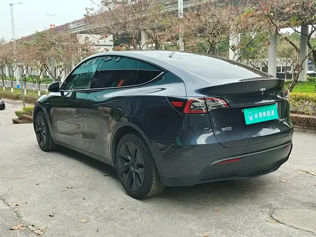Tesla Model Y — фото 8