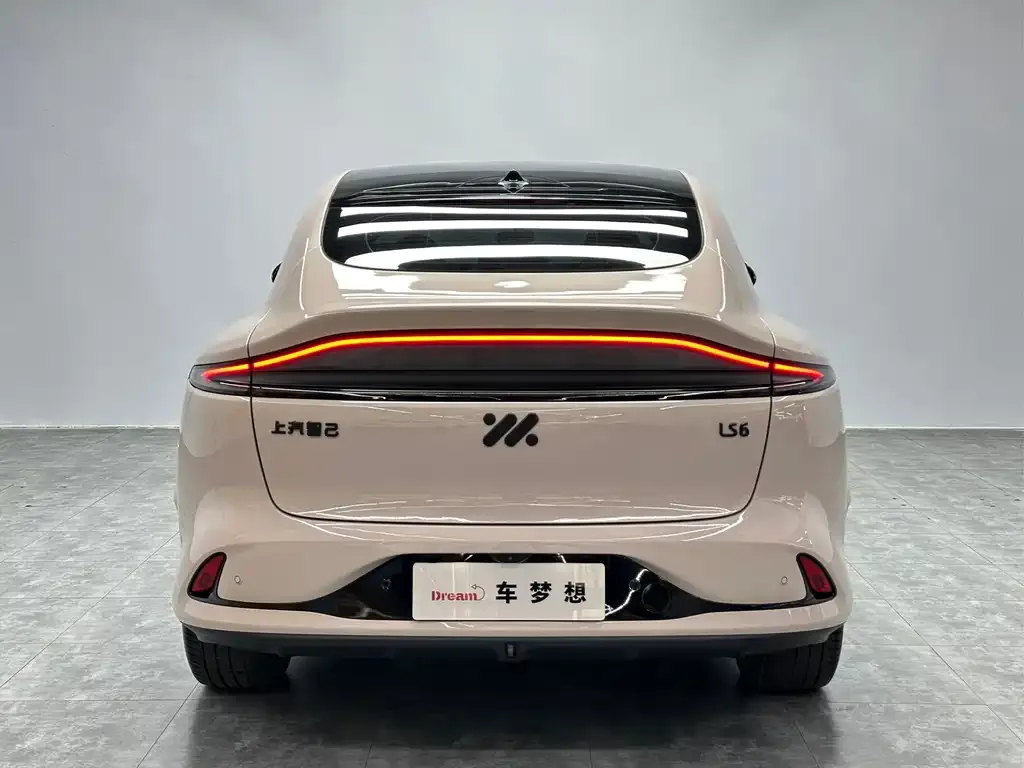 IM IM LS6 2023 из CN, фото 7