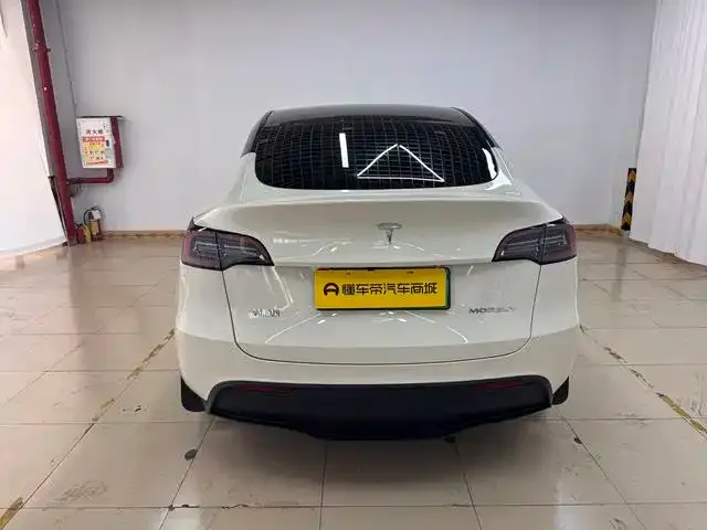 Tesla Model Y — фото 2