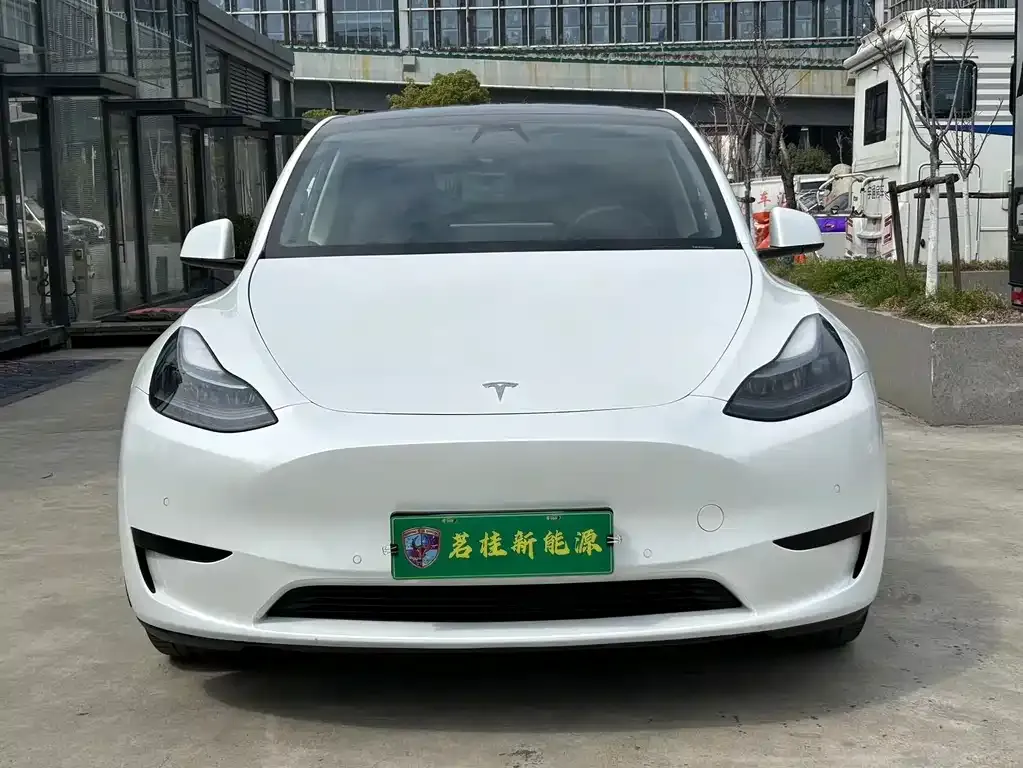 Tesla Model Y — фото 3