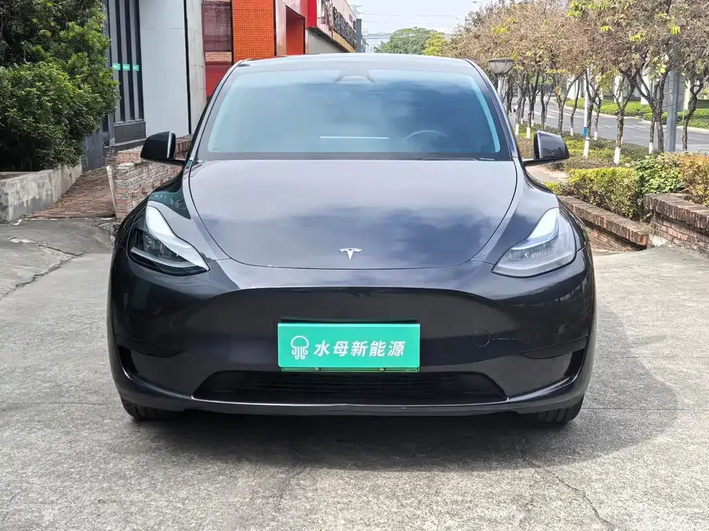 Tesla Model Y — фото 6