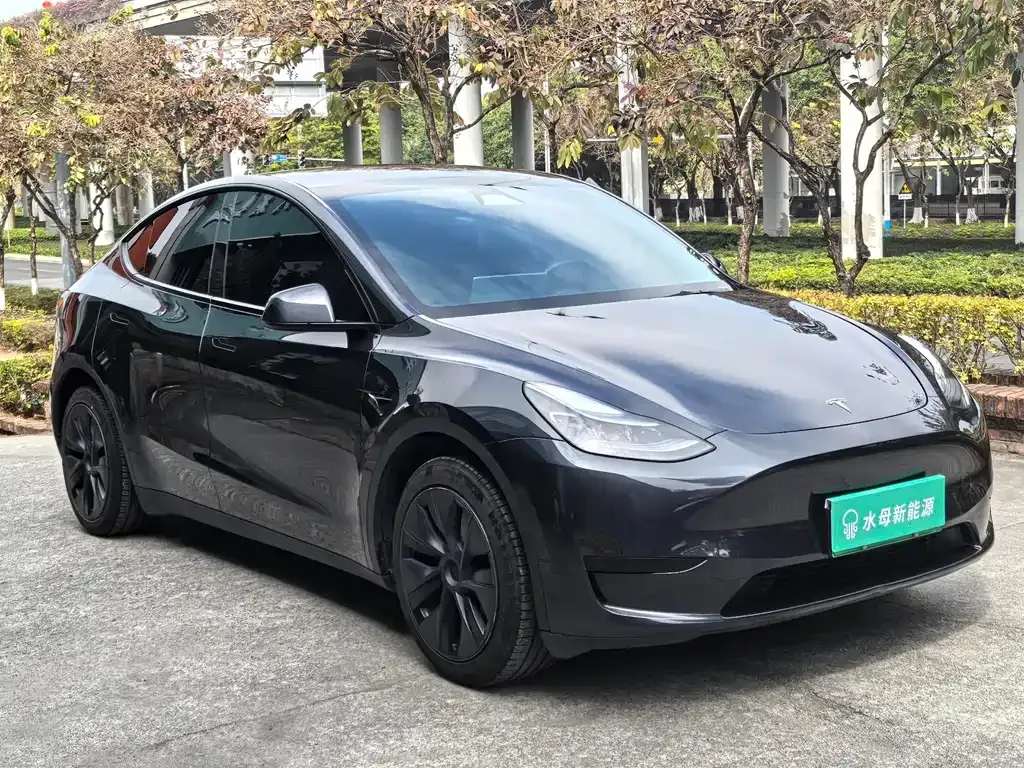 Tesla Model Y — фото 9
