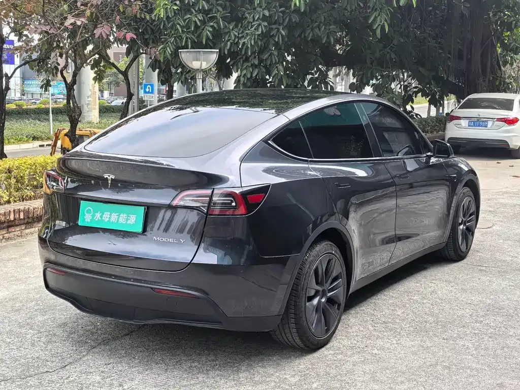 Tesla Model Y — фото 5